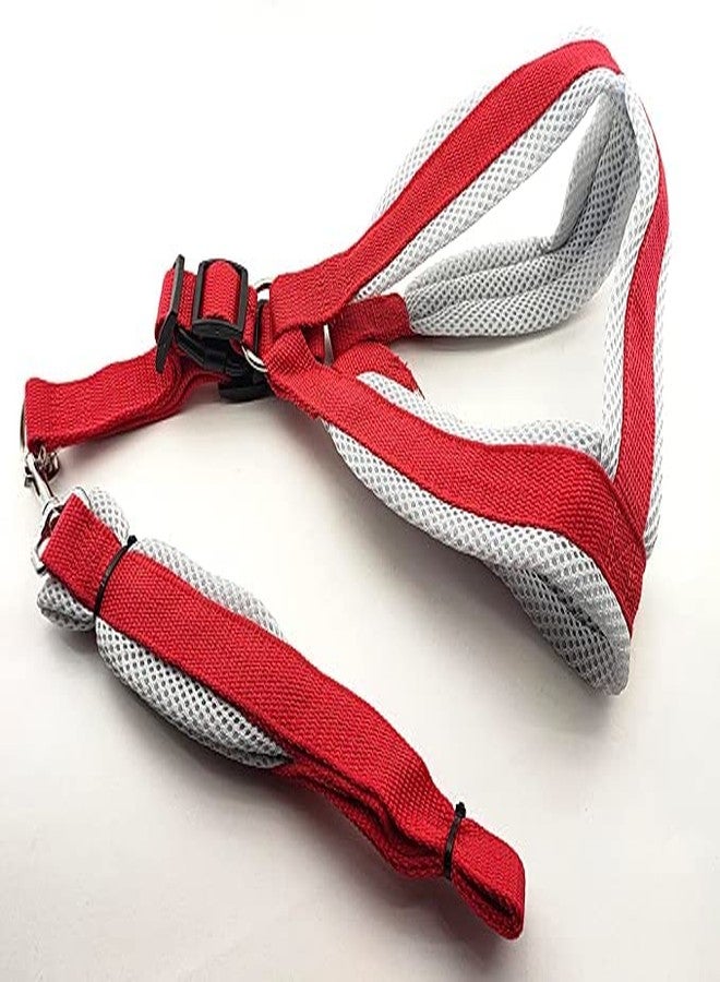 Pups&Pets سترة مبطنة من النايلون الأساسي الناعم والقابل للتعديل من Pups&Pets مقاس 1 بوصة مع حزام ومقود طويل، مثالية للمشي في الهواء الطلق/تدريب الكلاب (أحمر) - Image 1